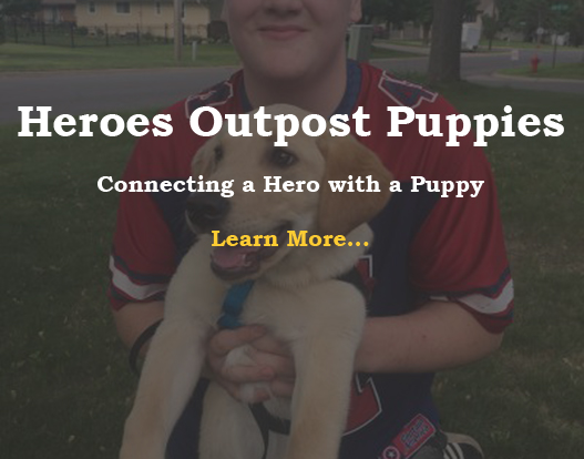 Heroes Outpost Puppies